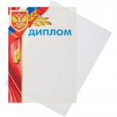 Обложка для переплета Pro Mega Office А4, пластик, прозрачная, 180 мкм, 100шт/уп Обложка для переплета Pro Mega Office А4, пластик, прозрачная, 180 мкм, 100шт/уп