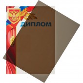 Обложка для переплета Pro Mega Office, А4, пластиковые, прозрачные, 200 мкм, 100шт/уп Обложка для переплета Pro Mega Office, А4, пластиковые, прозрачные, 200 мкм, 100шт/уп