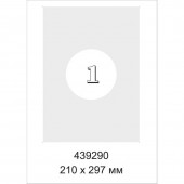 Самоклеящиеся этикетки Mega Label Всепогодные, бел, 210х297 мм, 20 л/уп Самоклеящиеся этикетки Mega Label Всепогодные, бел, 210х297 мм, 20 л/уп