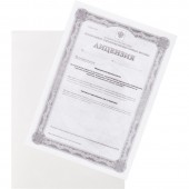 Папка-уголок п/э цв. E-100/00T прозр. Россия 10шт/уп Папка-уголок п/э цв. E-100/00T прозр. Россия 10шт/уп