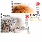 Альбом д/рис. 40л. Brauberg гребень, обл.мел.карт, 110г/м, Благородные кошки (2вида) Альбом д/рис. 40л. Brauberg гребень, обл.мел.карт, 110г/м, Благородные кошки (2вида)