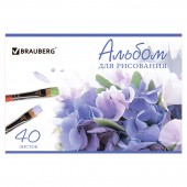 Альбом д/рис. 40л. Brauberg обл.мел.карт., Цветы (2вида) Альбом д/рис. 40л. Brauberg обл.мел.карт., Цветы (2вида)