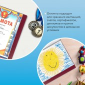 Папка  40 вклад. Brauberg Стандарт, красная, 0,7мм Папка  40 вклад. Brauberg Стандарт, красная, 0,7мм