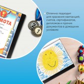 Папка 100 вклад. Brauberg Стандарт, черная, 0,9мм Папка 100 вклад. Brauberg Стандарт, черная, 0,9мм