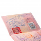 Обложка для листа паспорта, ПВХ, 87*128, прозрачная, ДПС, 1361