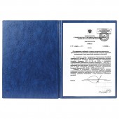 Папка адресная ПВХ "На подпись"формата А4, увеличенной вместим. до 100 лист., синяя, ДПС, 2032.Н-101