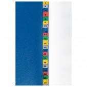 Разделитель пластиковый Brauberg А4+, 31 лист, цифровой 1-31, оглавление, Цветной, Россия